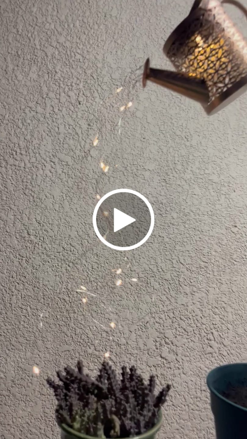 Customer video review of Regadera Solar