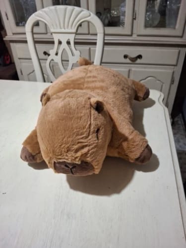 Customer photo review of Giant Capybara Plush Pillow