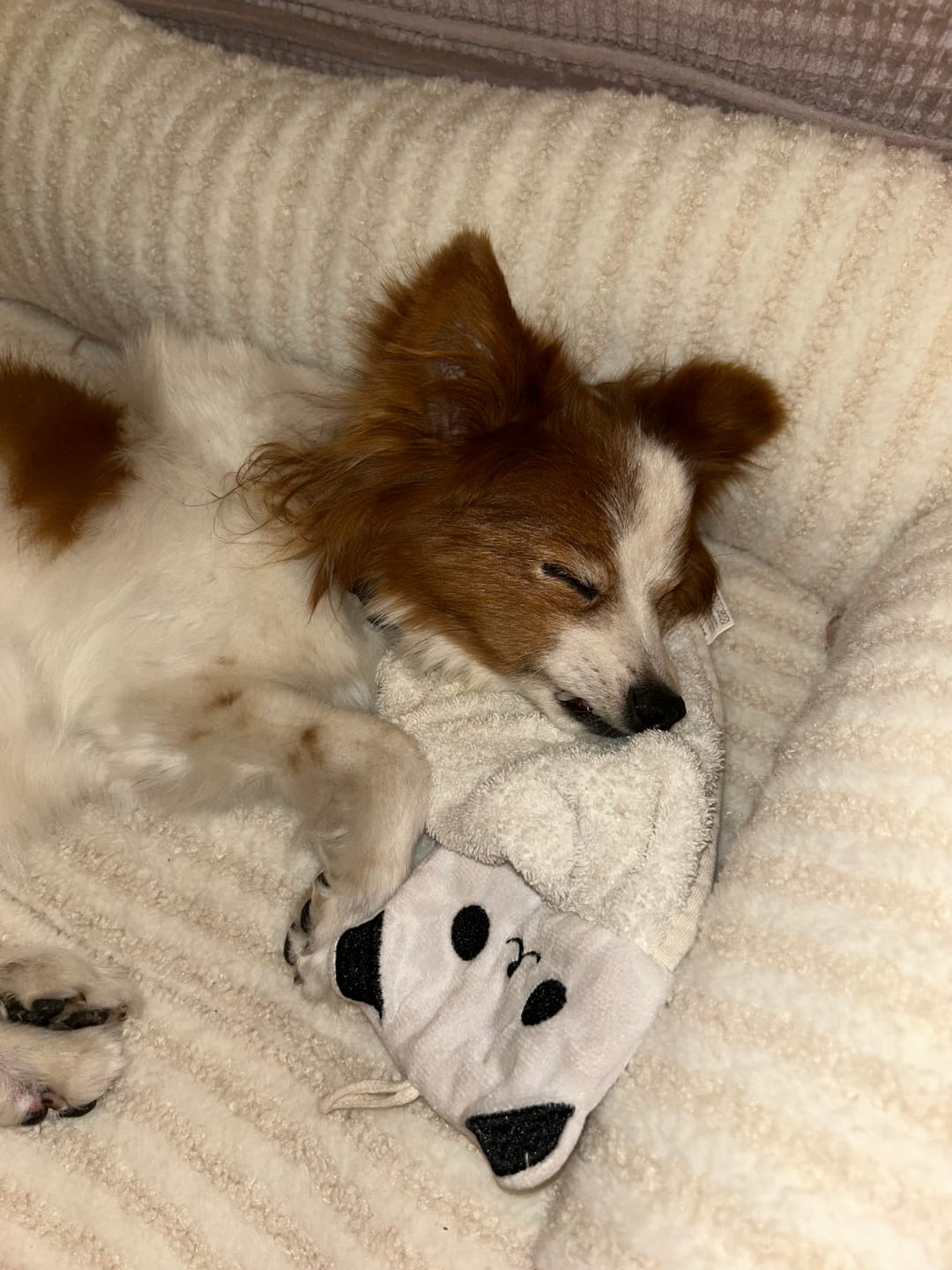 Customer photo review of Bark-Less Bites