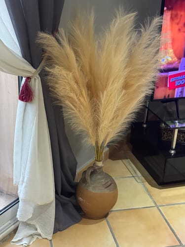 Customer photo review of Pampas 110cm (3 tiges)- Crème