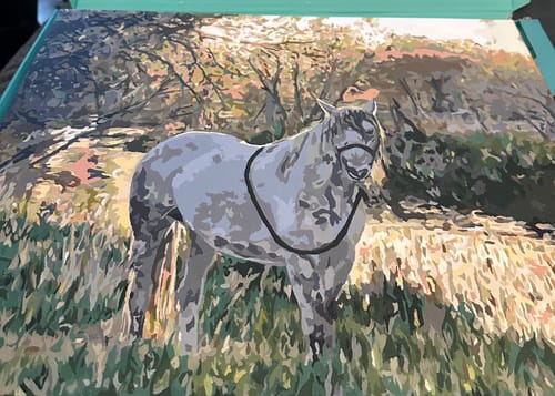 Customer photo review of Custom Paint by Numbers Kit