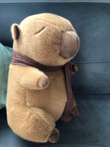 Customer photo review of Scarf Capybara Plush Doll