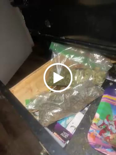 Customer video review of Exotic Shake