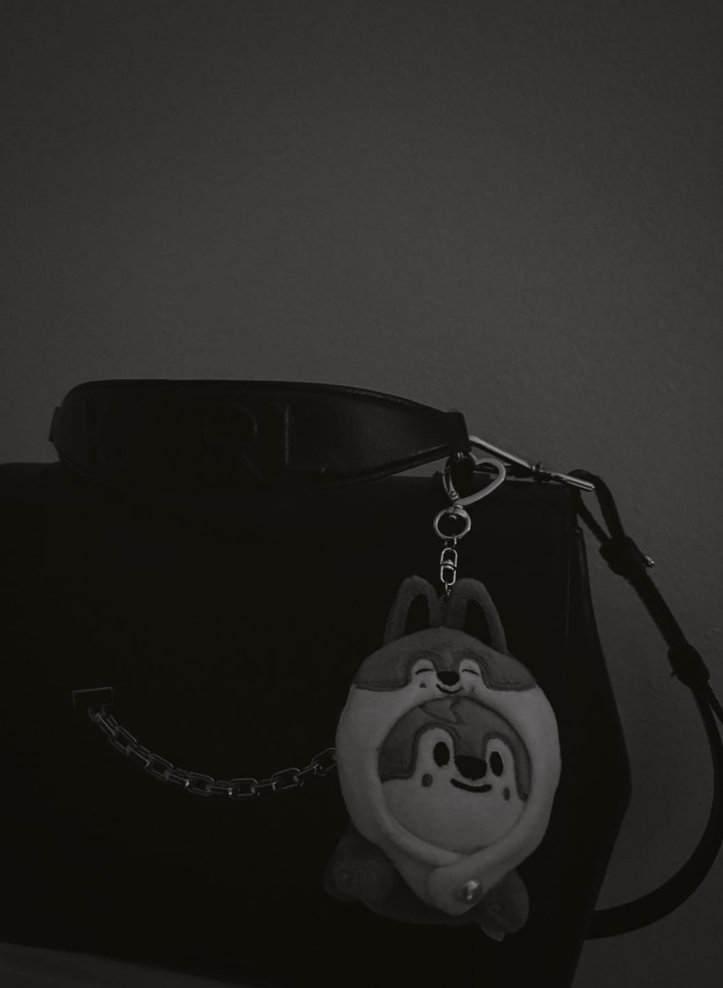 Customer photo review of SKZ dominATE:celebrATE Lying Keyring