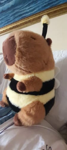 Customer photo review of Bee Capybara Plush Doll