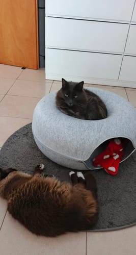 Customer photo review of Cueva Dona