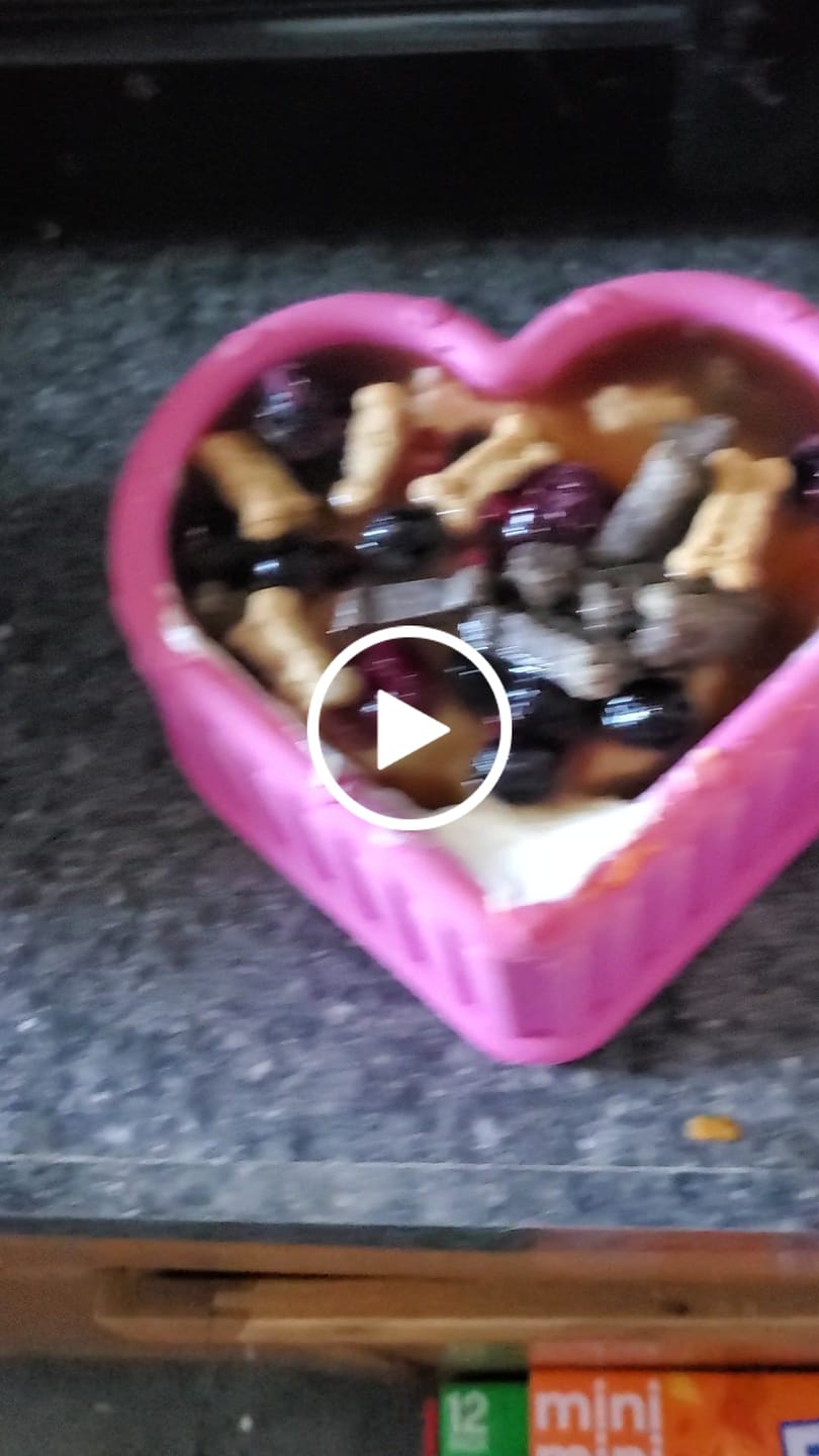 Customer video review of FreezHeart - Durable Heart Enrichment Chew