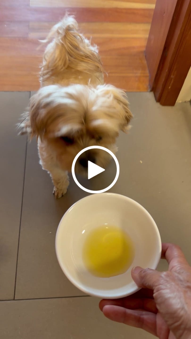 Customer video review of Caldo de Huesos Perros