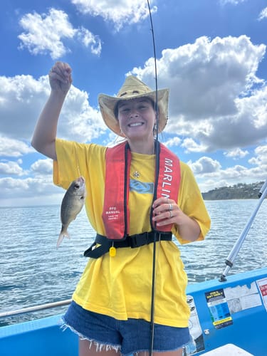 Customer photo review of Digger Hat