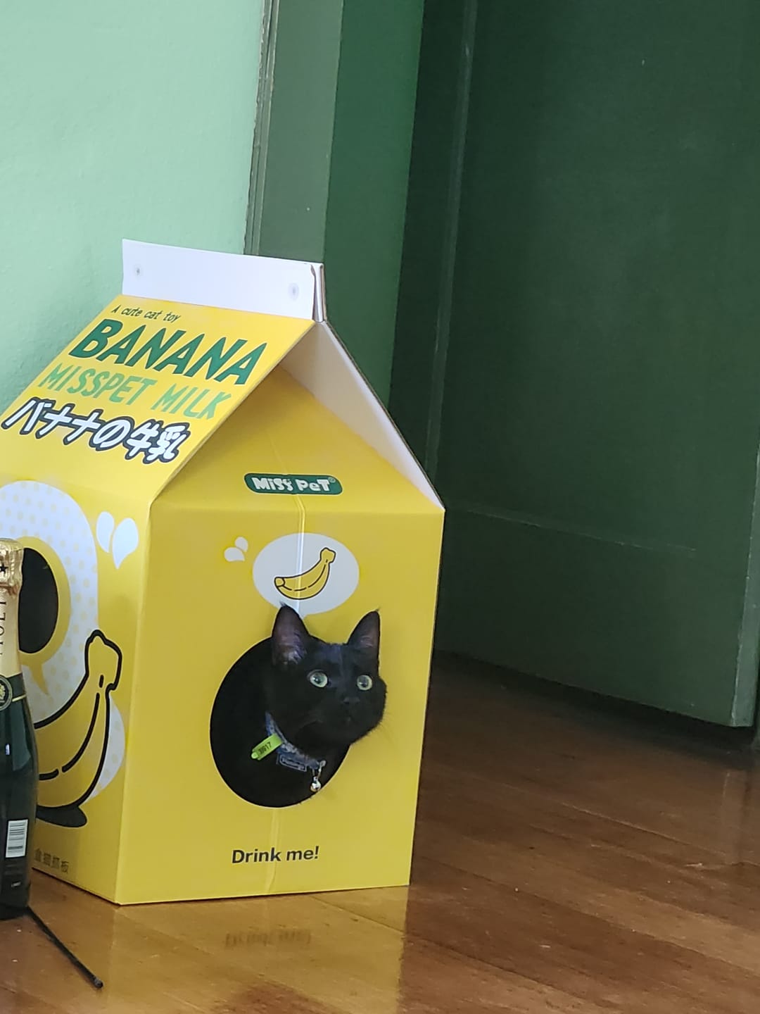 Customer photo review of Misspet Milk Box | Cat Scratcher and Nest