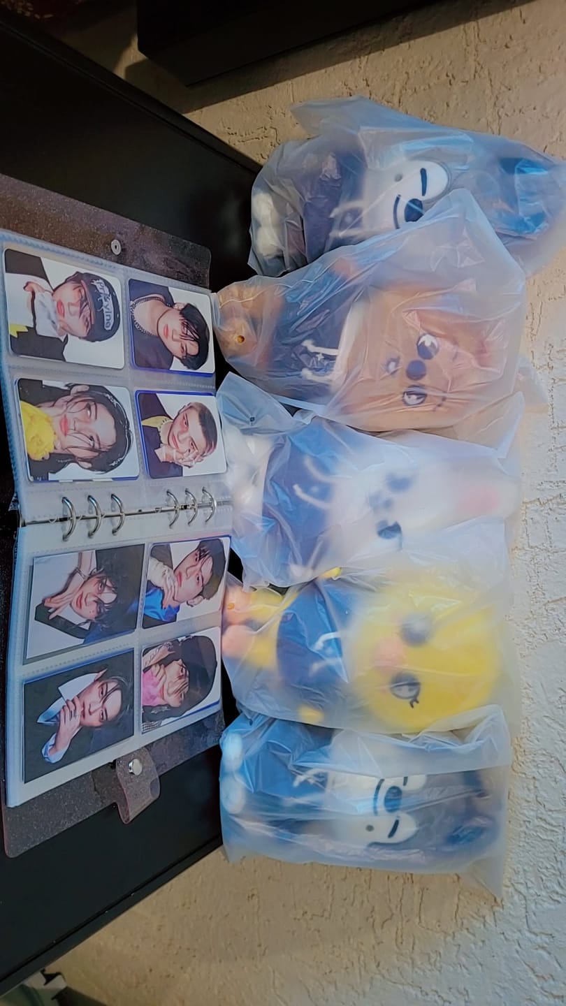 Customer photo review of STRAY KIDS - SKZ'S MAGIC SCHOOL OFFICIAL MD SKZOO PLUSH ORIGINAL VER.