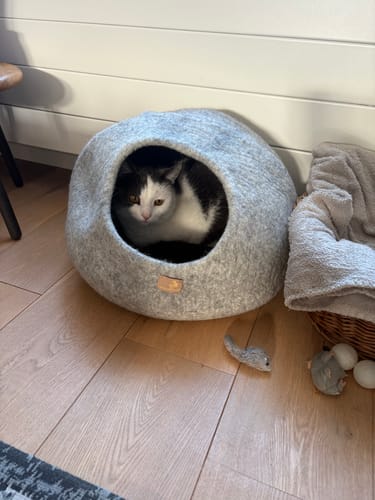 Customer photo review of Premium