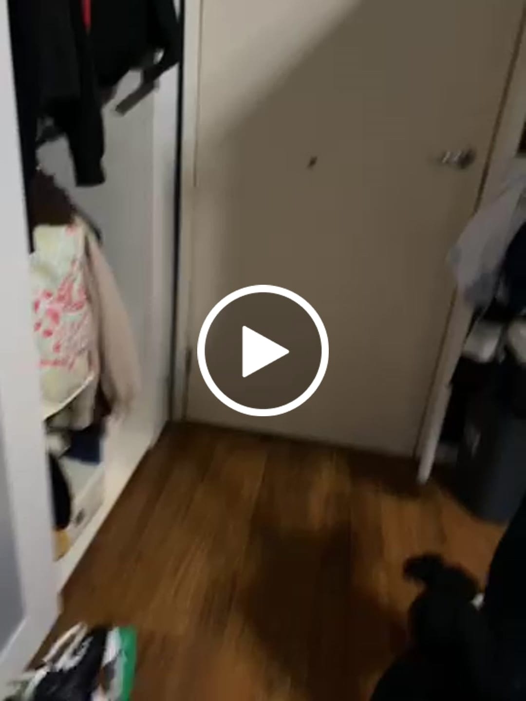 Customer video review of Blaaster™ TwinBlast Shotgun