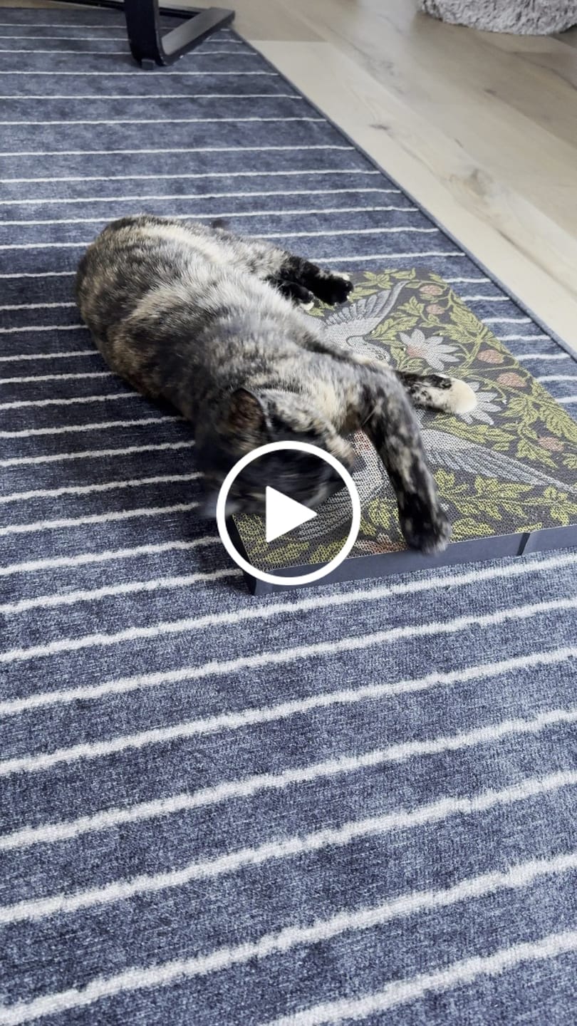 Customer video review of Strawberry Vine - Luxury Cat Scratching Board