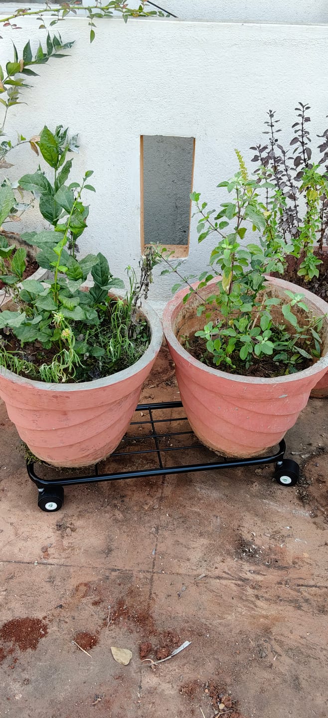 Customer photo review of TryGreen Ivy Wheel Rolling Plant Stand for Planters