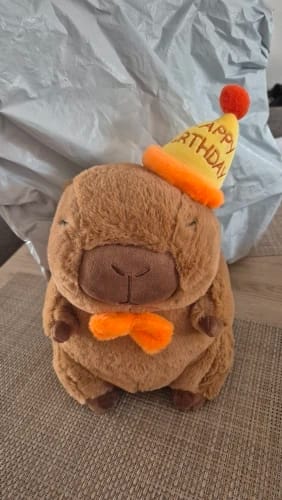 Customer photo review of Happy Birthday Capybara Plush Doll