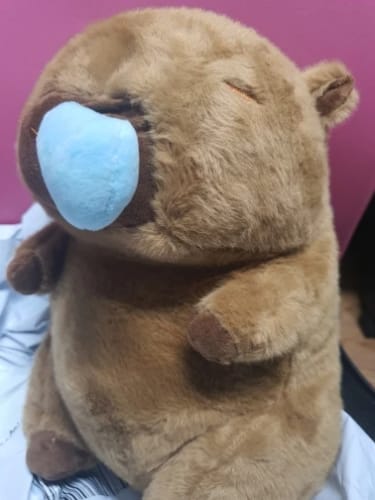 Customer photo review of Stretchy Bubble Capybara Plush Doll