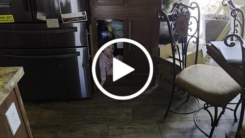 Customer video review of Impeccable Chicken Variety Bundle