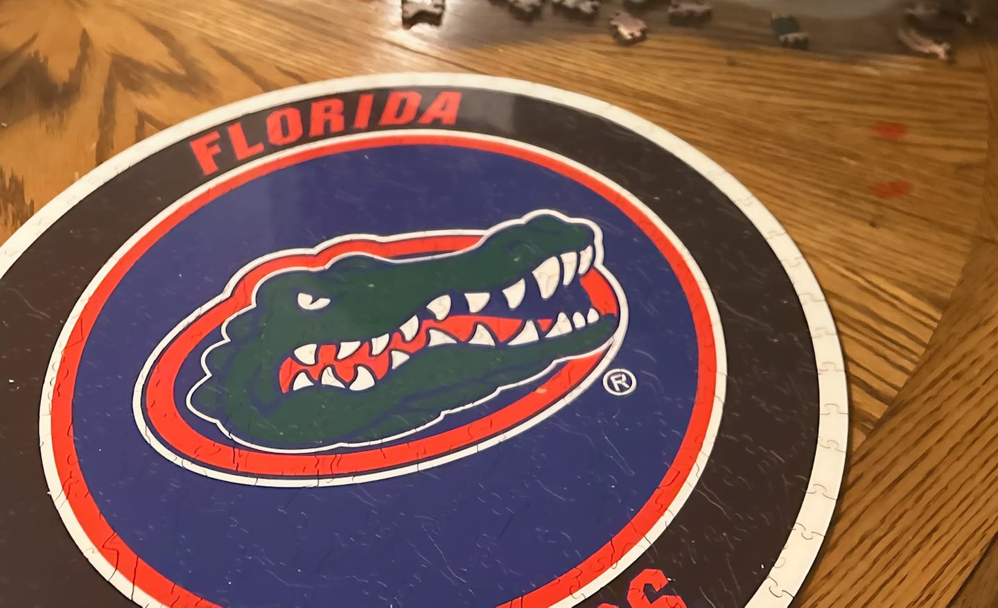 Customer photo review of University of Florida - Wooden Puzzle