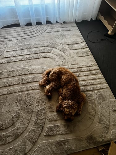 A customer's brown dog sleeping on a soft, light-colored Mellow Mat with a carved pattern.
