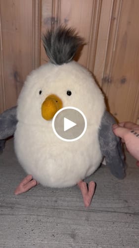 Customer video review of Chip Seagull | Jellycat