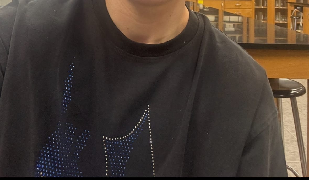 Customer photo review of 4257 - Batman Rhinestone Tees