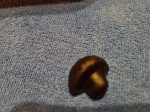 Customer photo review of Vitalpilz Mind Gummies