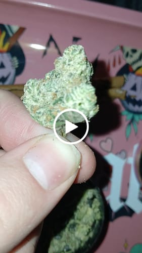 Customer video review of Elite Boutique Exotics - Don Murfos LCG - 14 Grams - Hybrid