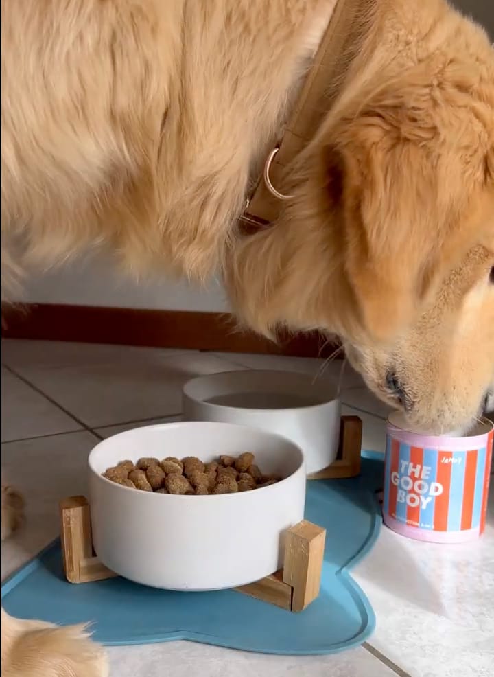 Customer photo review of The Good Boy