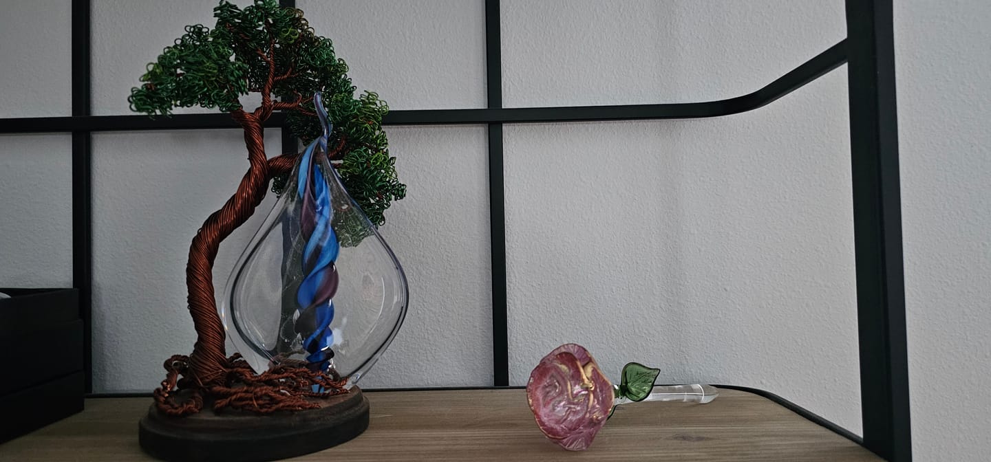 Customer photo review of Glass Roses by Dan