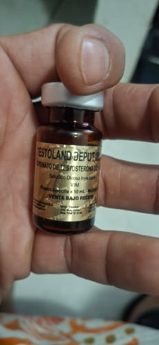 Un cliente sostiene un frasco de Testoland Depot 200 mg en la mano, mostrando la etiqueta.