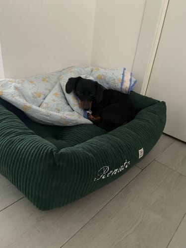 Customer photo review of Divanetto Velluto a Coste Verde