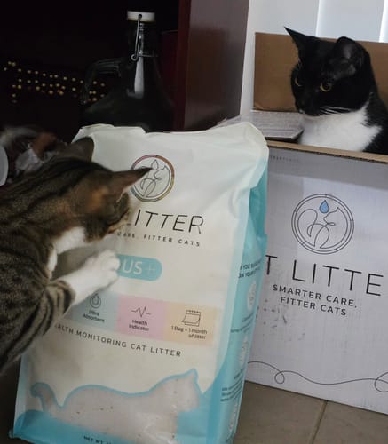 Customer photo review of Fit Litter PLUS - 3 month supply - 2 cat
