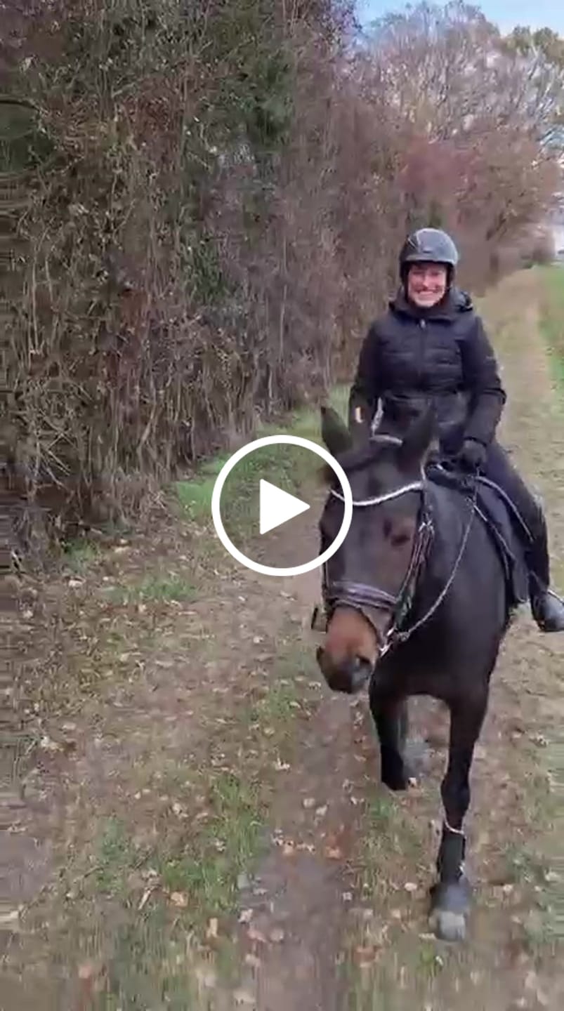 Customer video review of Kristallkraft Coolly