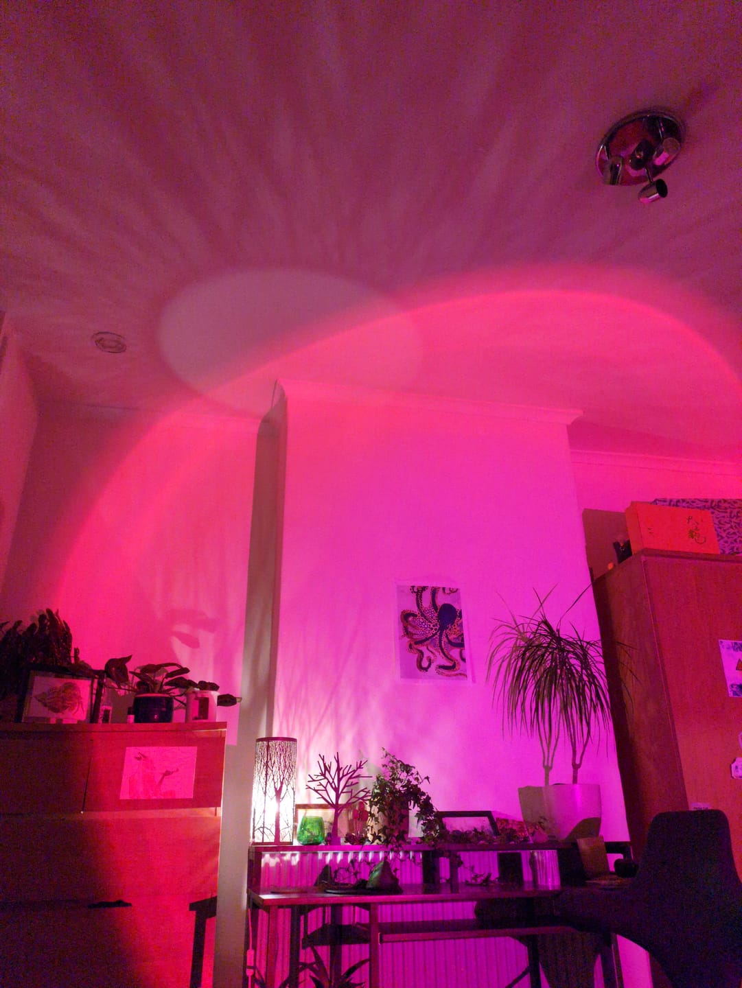 Customer photo review of Golden Hour Sunset Lamp
