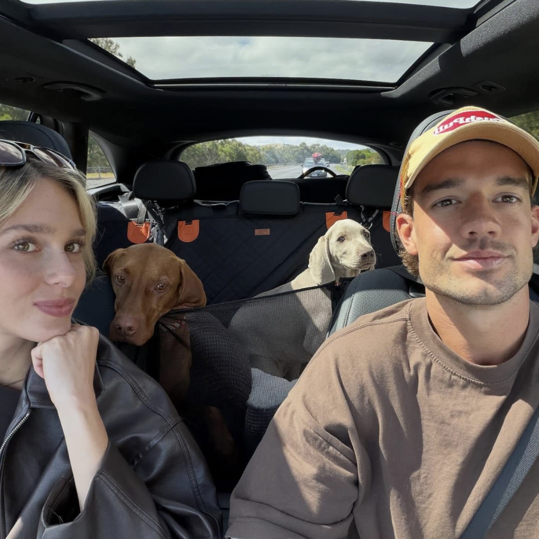Customer photo review of Marlo&Co™ Dog Seat Cover