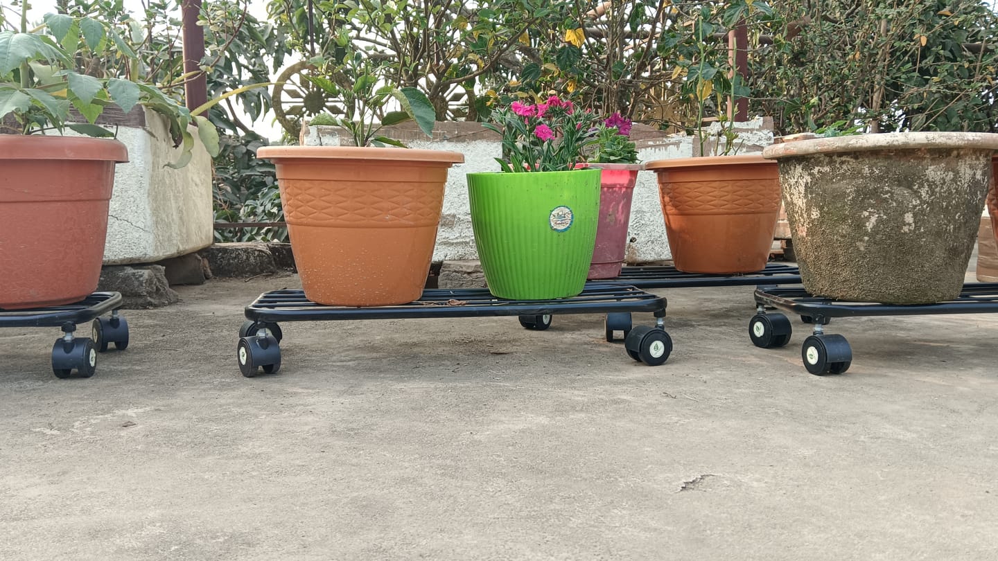 Customer photo review of TryGreen Ivy Wheel Rolling Plant Stand for Planters