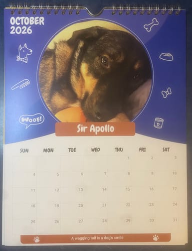 Customer photo review of Official Pupvote Cutest Pets of the Year Calendar (2026)