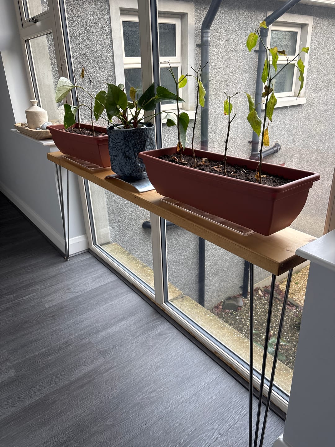 Customer photo review of Console Table 20cm Depth | Hairpin Leg