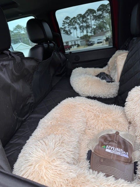 Customer photo review of 4Knines Hard Bottom Extender Car Seat Cover for Dogs - Regular
