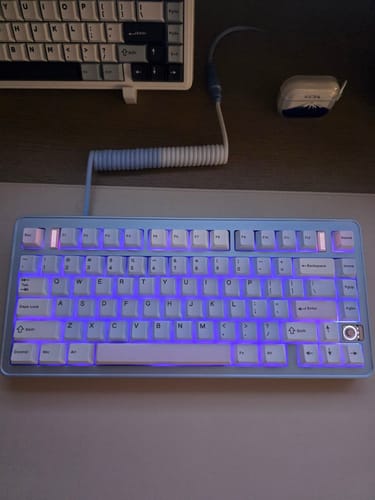 Customer photo review of Evoworks - Evo75 Wireless Custom Mechanical Keyboard (ANSI)