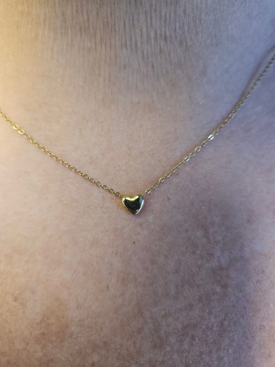 Customer photo review of Mini Heart Necklace