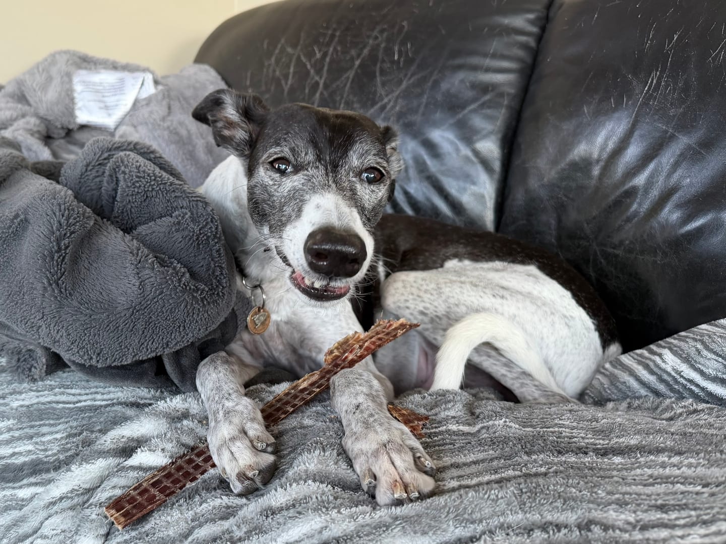 Customer photo review of 12 Inch Beef Jerky Strip