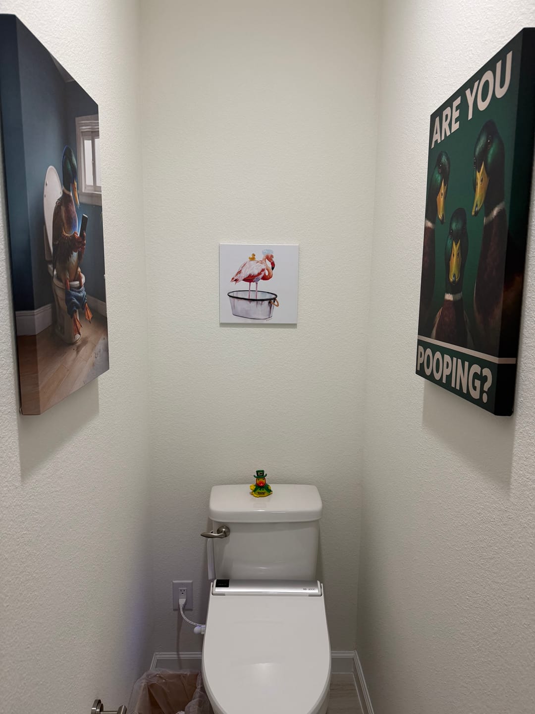 Customer photo review of Funny Duck on Toilet Canvas Wall Art – Hilarious Gift for Men, Husband or Bathroom Decor