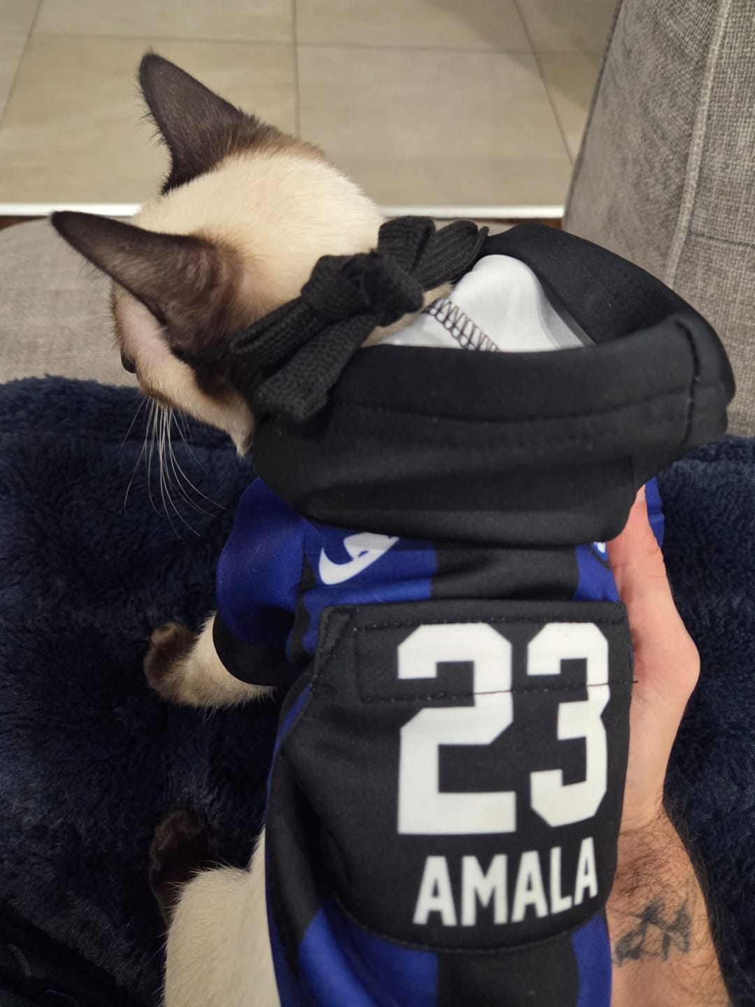Customer photo review of Inter Milan Dog Hoodie