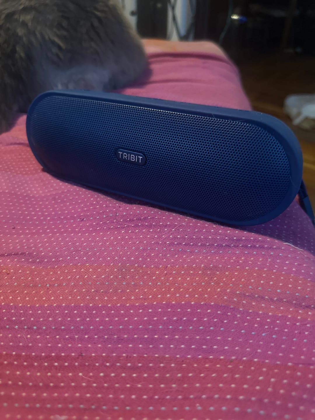 Customer photo review of TRIBIT XSound Plus 2 Portable Bluetooth Speaker