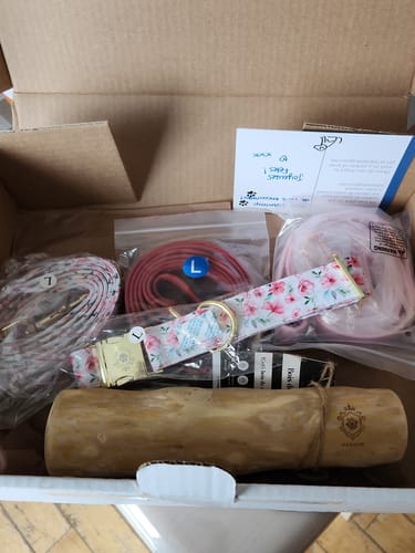 Customer photo review of Mystery Box - Dog PREMIUM