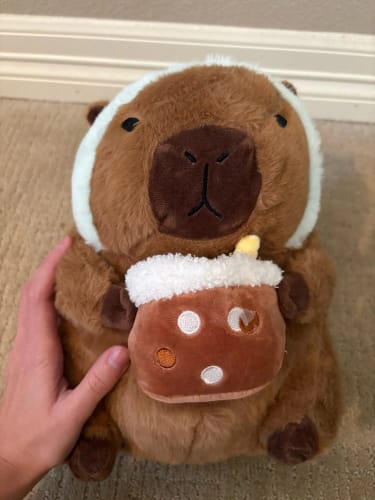 Customer photo review of Boba Capybara Plush Toy