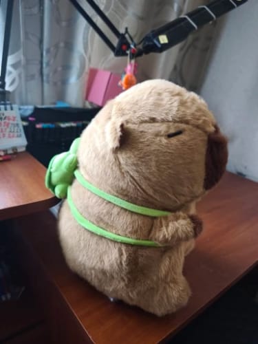 Customer photo review of Capybara Plush With Turtle Backpack