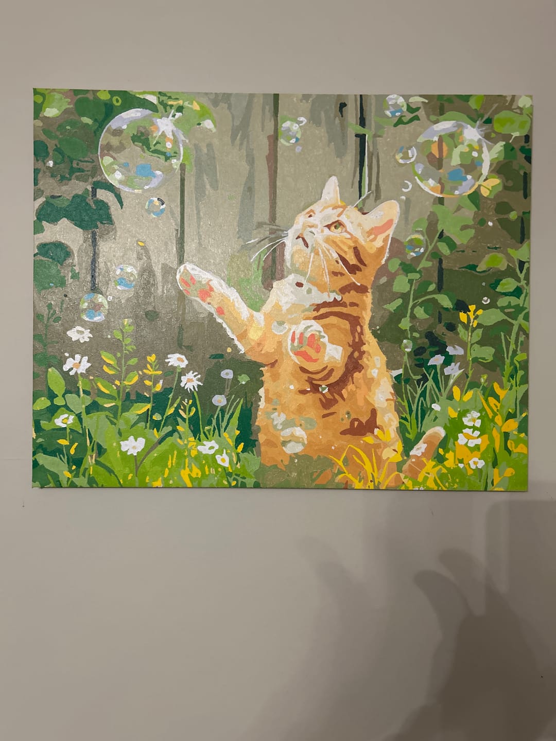 Customer photo review of Cat & Bubbles